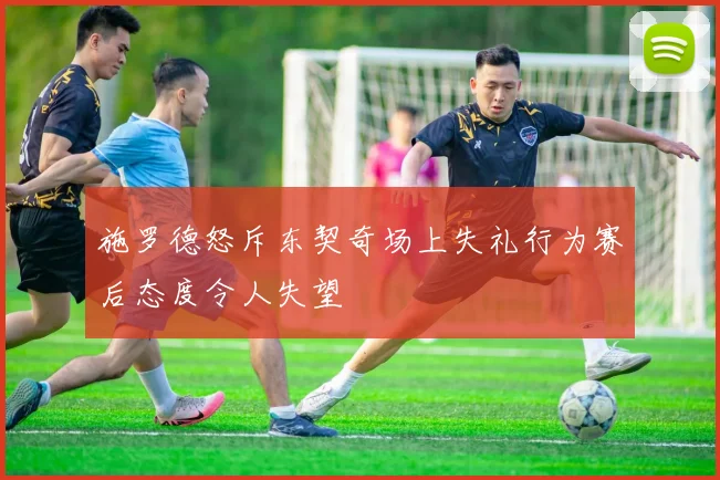 施罗德怒斥东契奇场上失礼行为赛后态度令人失望